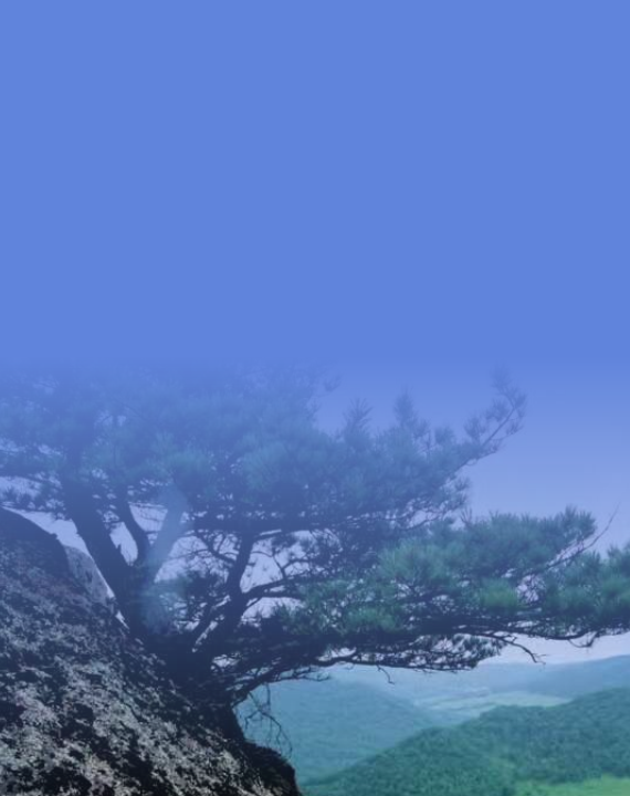 生態(tài)環(huán)境